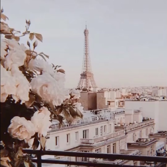 Meet your Posher, Isabella - Picture 1 of 1